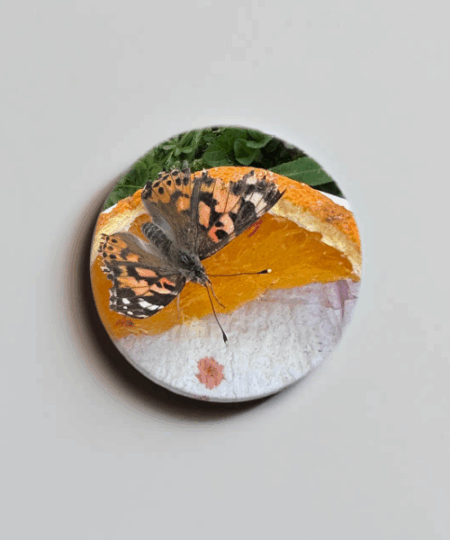 Buttons personalisiert